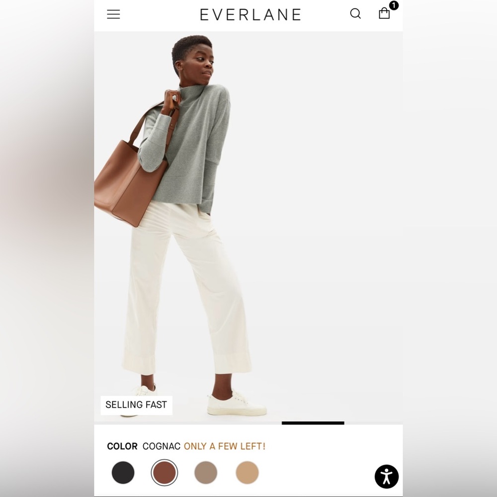Everlane The Studio Bag - Picture 2 of 16